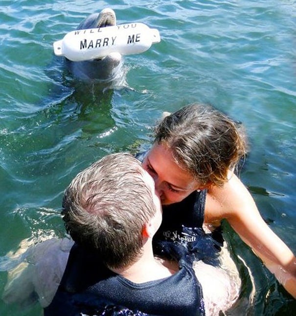 best-creative-proposals-engagement-photography-18__605