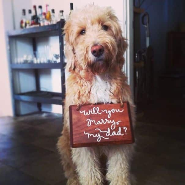 best-creative-proposals-engagement-photography-30__605