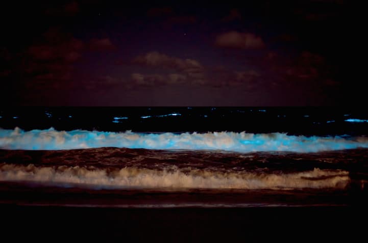 tilestwra.com - Η θάλασσα "φωσφορίζει" στην Ουρουγουάη!
