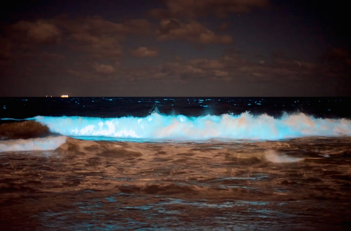 tilestwra.com - Η θάλασσα "φωσφορίζει" στην Ουρουγουάη!