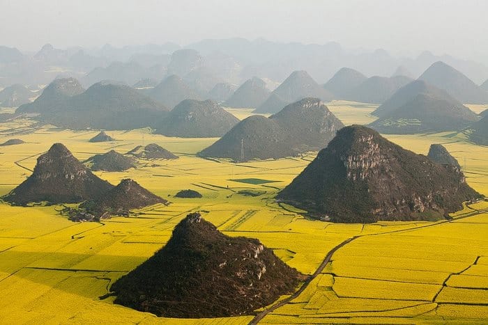 Πεδιάδα λουλουδιών Canola, Γιουνάν, Κίνα