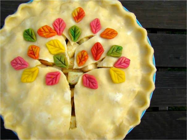 creative-pie-ideas-crust-food-art-20__605