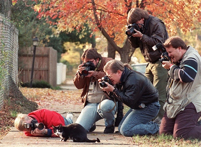 dedicated-photographers-14__700