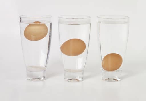 egg water