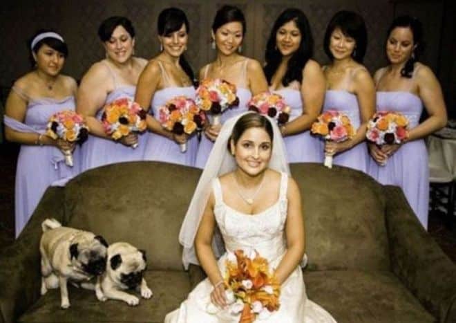 hilarious wedding photobomb selection 640 21