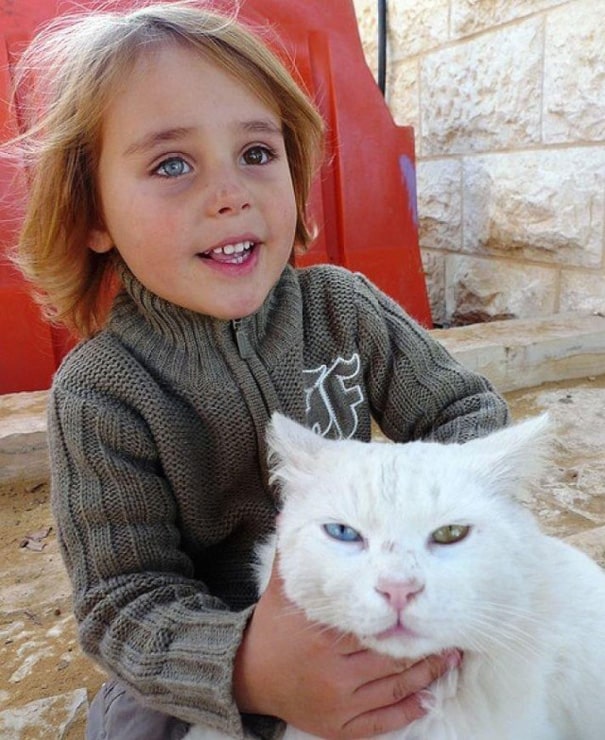 israeli-boy-cat__605