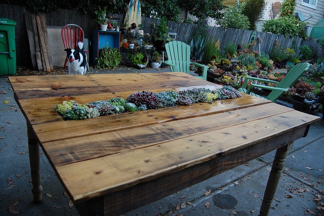 Ένα τραπέζι από παλέτες με χώρο στη μέση για μερικά όμορφα φυτά! 