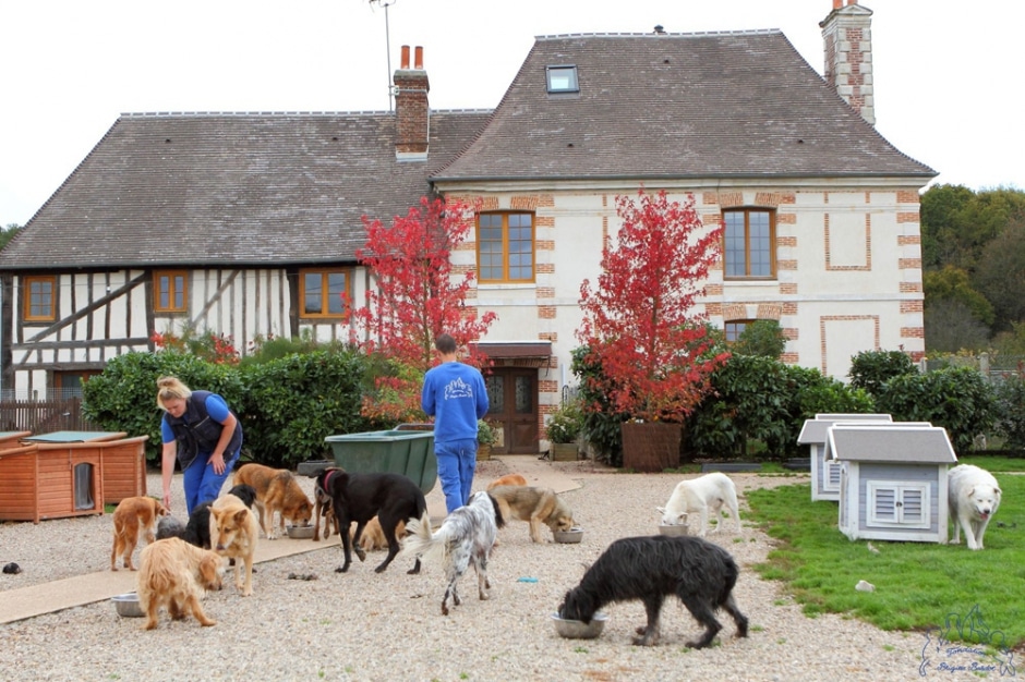 le refuge de brigitte bardot en danger article landscape pm v8