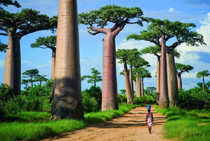 Μενάμπε, Μαδαγασκάρη