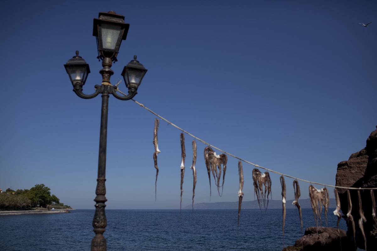 Oι 15 αρχαιότερες πόλεις της Ευρώπη, 8 από αυτές είναι στην Ελλάδα! 5 slide 416266 5288494 free