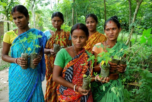 Women-with-saplings-West-Bengal-India.jpg.650x0_q85_crop-smart-638x428