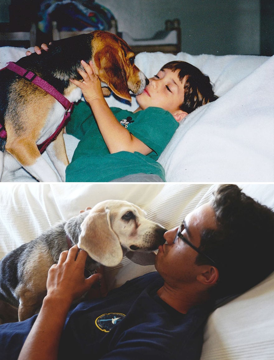XX-before-and-after-dogs-growing-up-9__880