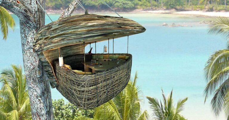 To εστιατόριο που σερβίρει… πάνω στα δέντρα!