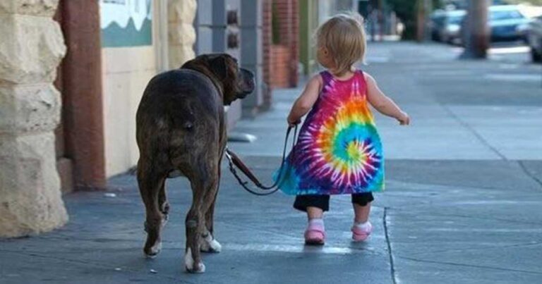 23 φωτογραφίες που αποδεικνύουν ότι τα σκυλιά είναι οι καλύτερες νταντάδες!