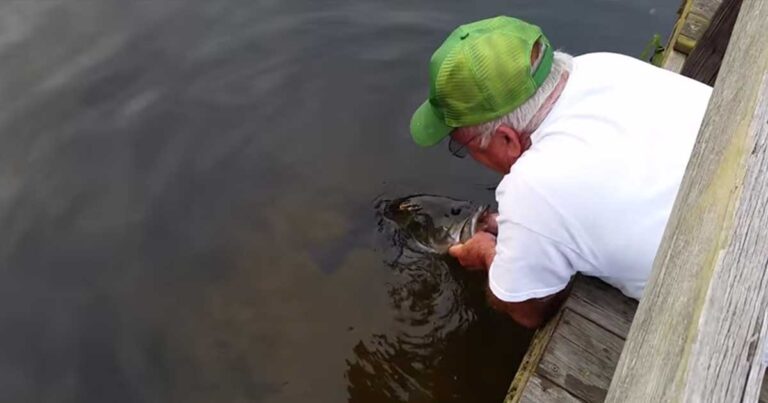 Έβαλε τα χέρια του μέσα στο νερό και απέδειξε ότι είναι ο καλύτερος ψαράς του κόσμου!