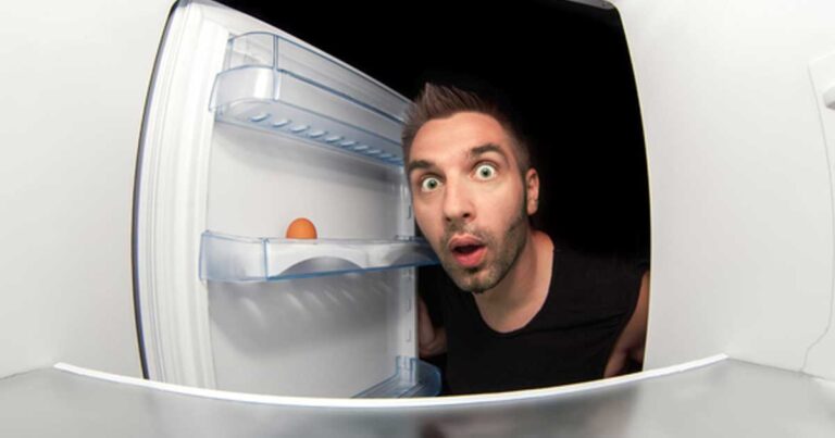 Έχει σκεφτεί ποτέ γιατί η πόρτα του ψυγείου σας έχει μαγνητικό λάστιχο; Η απάντηση είναι σοκαριστική