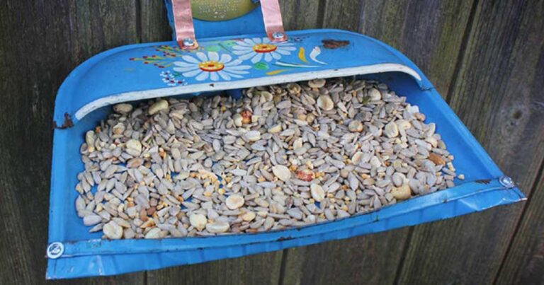 21 εύκολοι τρόποι να μετατρέψετε παλιά αντικείμενα σε απίθανα και έξυπνα πράγματα