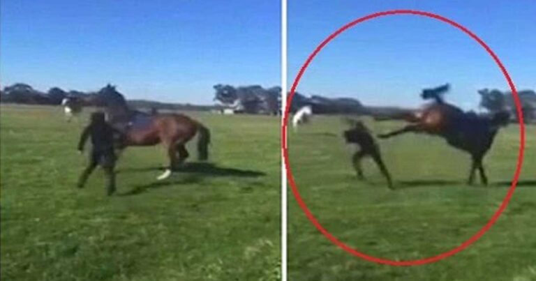 Τι θα πάθεις αν συμπεριφερθείς άσχημα σε ένα άλογο; Δείτε το βίντεο…