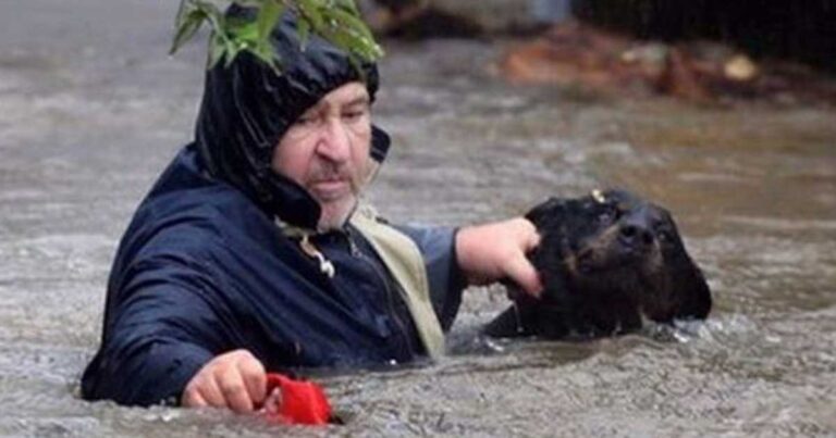 15 περιπτώσεις ανθρώπων που σώζουν ανήμπορα ζώα