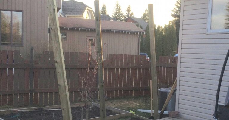 Οι κουτσομπόληδες γείτονες της την έβλεπαν τι κάνει στην αυλή της, δείτε όμως αυτή τι έφτιαξε για να τους αποφύγει!