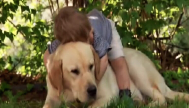 Ανέβηκε στην πλάτη του σκύλου του και τον αγκάλιασε. Αυτό που συμβαίνει στη συνέχεια θα σας συγκινήσει!
