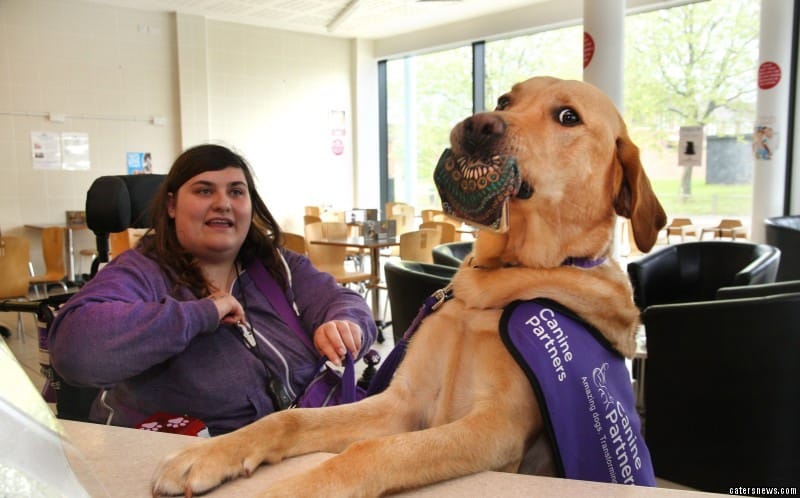 2 caters assistance dog 17 800x498 1