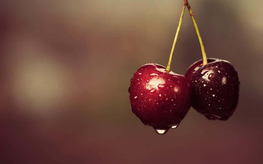 6979675-wet-cherries