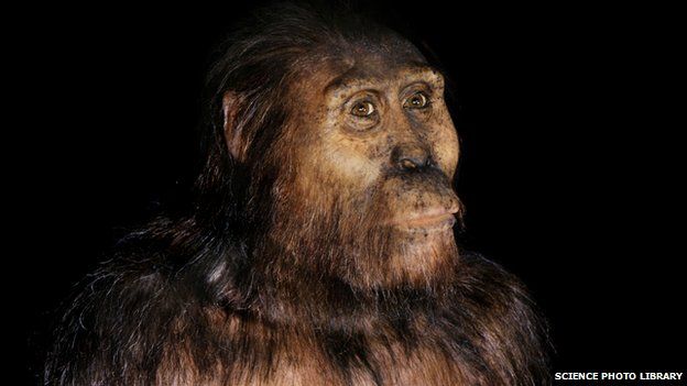 _83115952_c0208115-australopithecine_lucien-spl