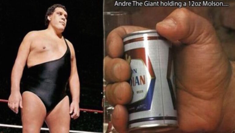 16 πράγματα για την ιστορία και τη ζωή του Αντρέ του Γίγαντα