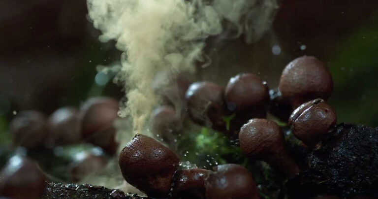 Ένα βίντεο με την μαγεία της φύσης σε μόλις 1,5 λεπτό!