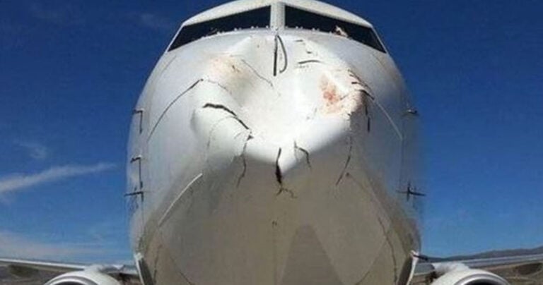 Ένα πτηνό συγκρούστηκε με ένα αεροπλάνο Boeing. Δείτε την απίστευτη ζημιά που προκάλεσε το… πτηνό!