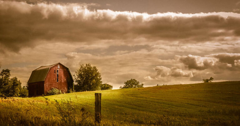 Φθηνή κάμερα, απίστευτη τέχνη: Μια ανύπαντρη μητέρα χρησιμοποιεί την παλιά της Canon και τραβάει εκπληκτικές φωτογραφίες!
