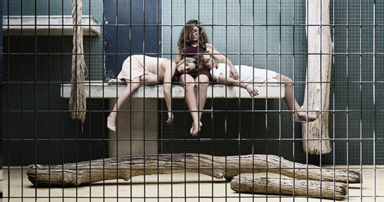 Σκληρή φωτογράφιση: Ζωολογικός κήπος με… ανθρώπους