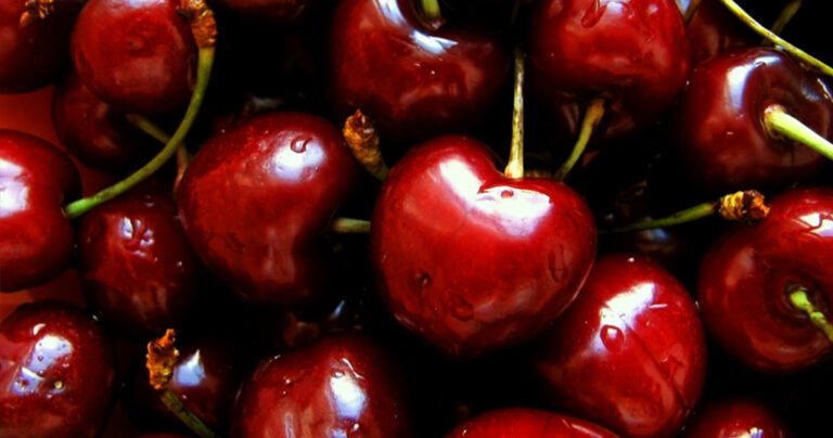 Τα 8 “κρυφά” οφέλη των κερασιών στην υγεία