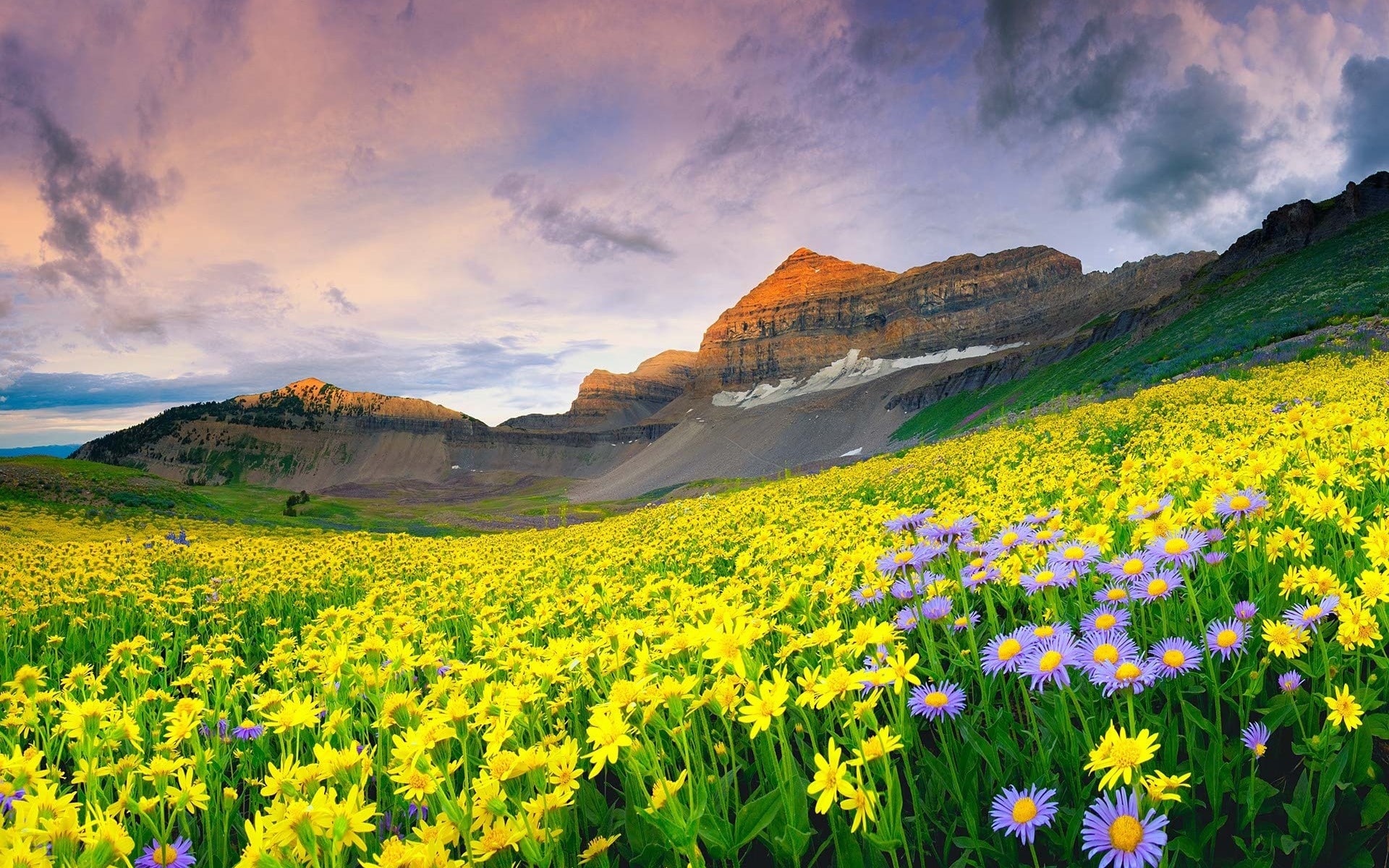 nature-landscapes_widewallpaper_beautiful-mountain-valley-of-flowers_6624