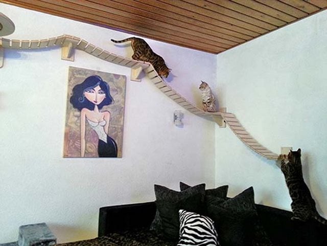 Ένας παιχνιδότοπος στον τοίχο για τις γάτες.