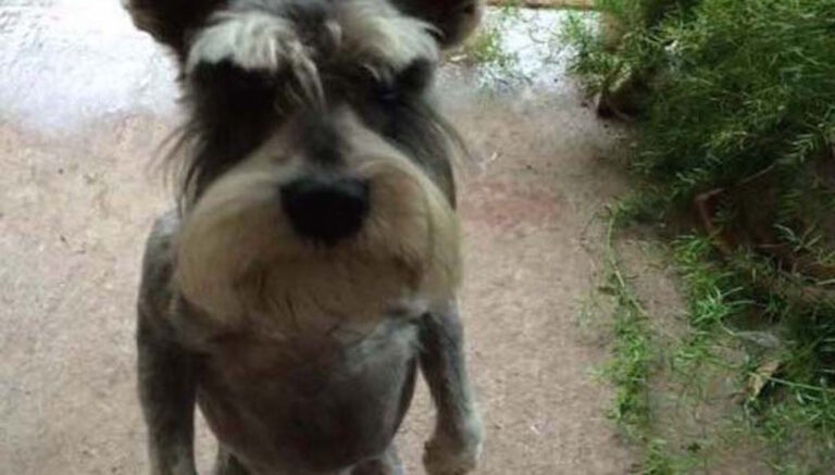 15 εικόνες που θα σας κάνουν να γελάσετε!