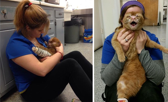 cat housefire survivor comforts animals russel 3