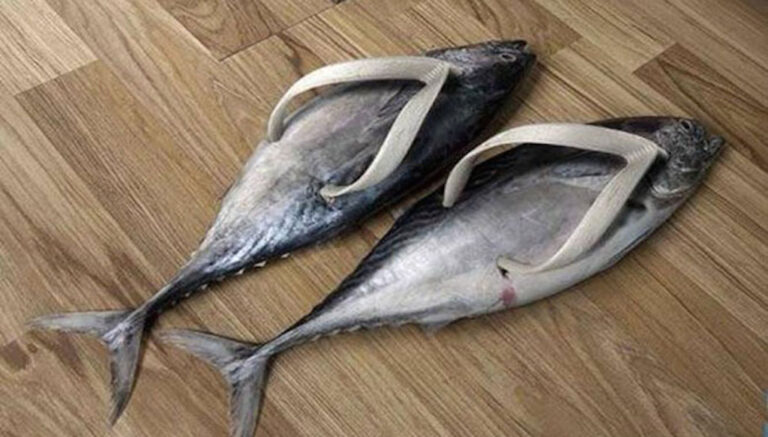 18 από τις πιο παράξενες σαγιονάρες που κυκλοφορούν