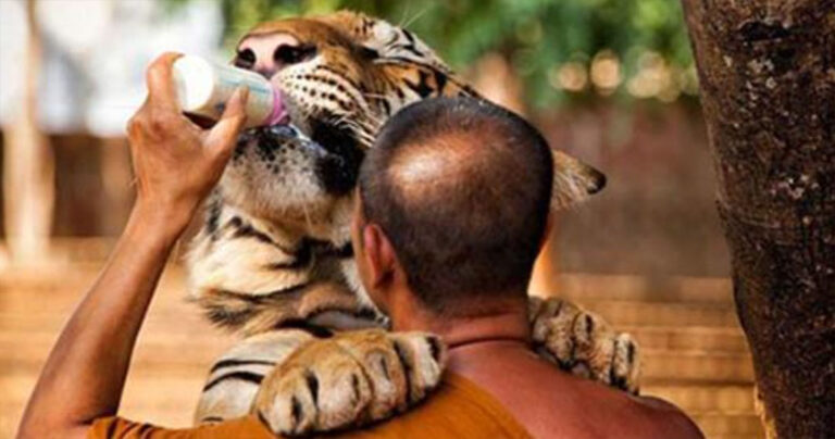 15 φωτογραφίες που θα σας εντυπωσιάσουν!