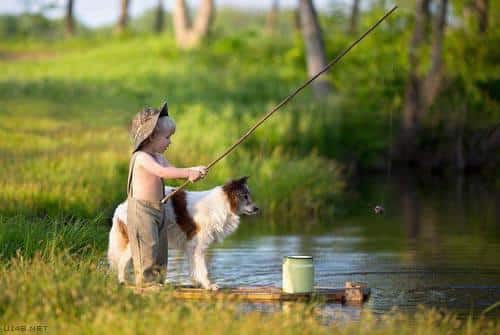 dog-babysitters-10