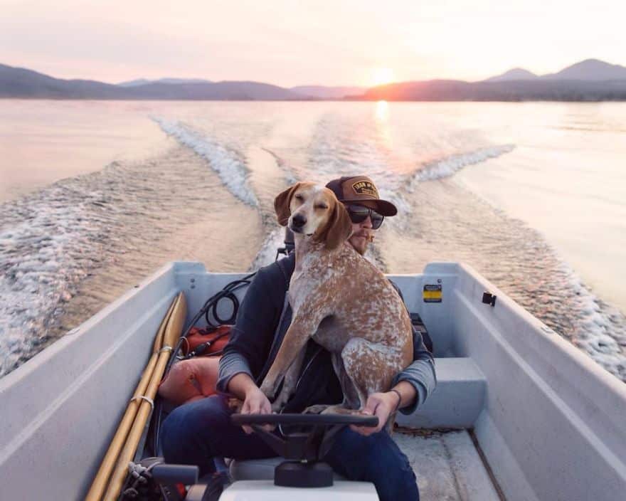 dog-traveling-car-motorcycle-maddie-on-road-14