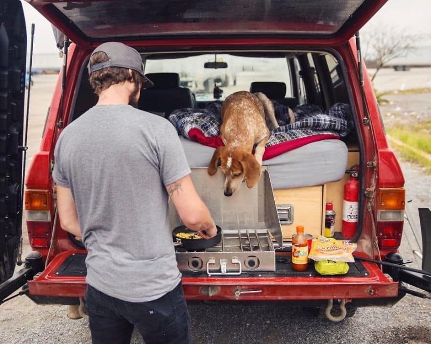 dog-traveling-car-motorcycle-maddie-on-road-19