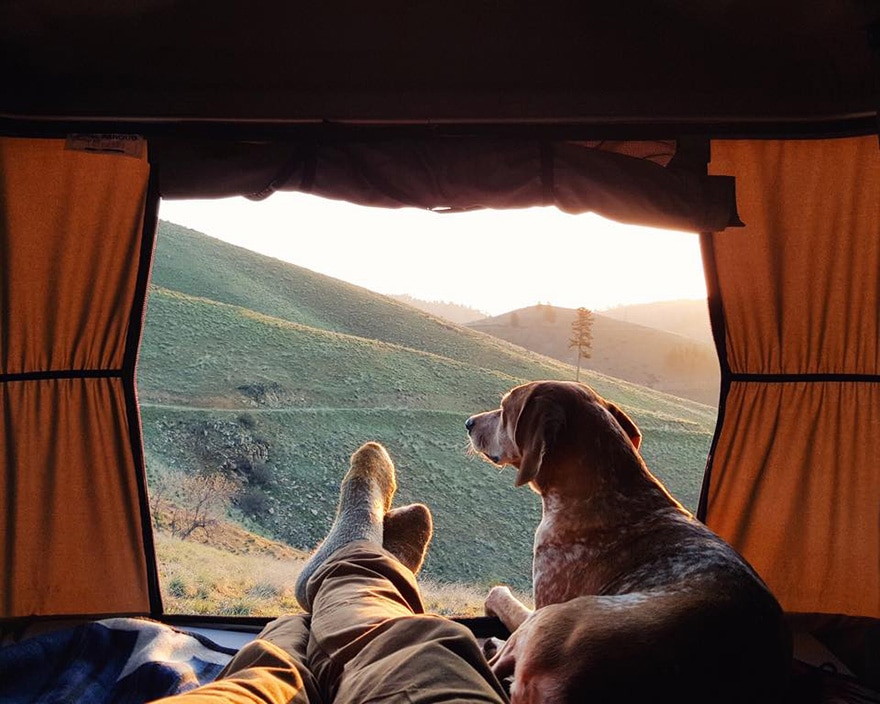 dog-traveling-car-motorcycle-maddie-on-road-3