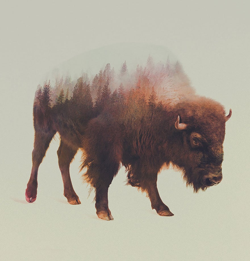 double-exposure-animal-photography-andreas-lie-10__880