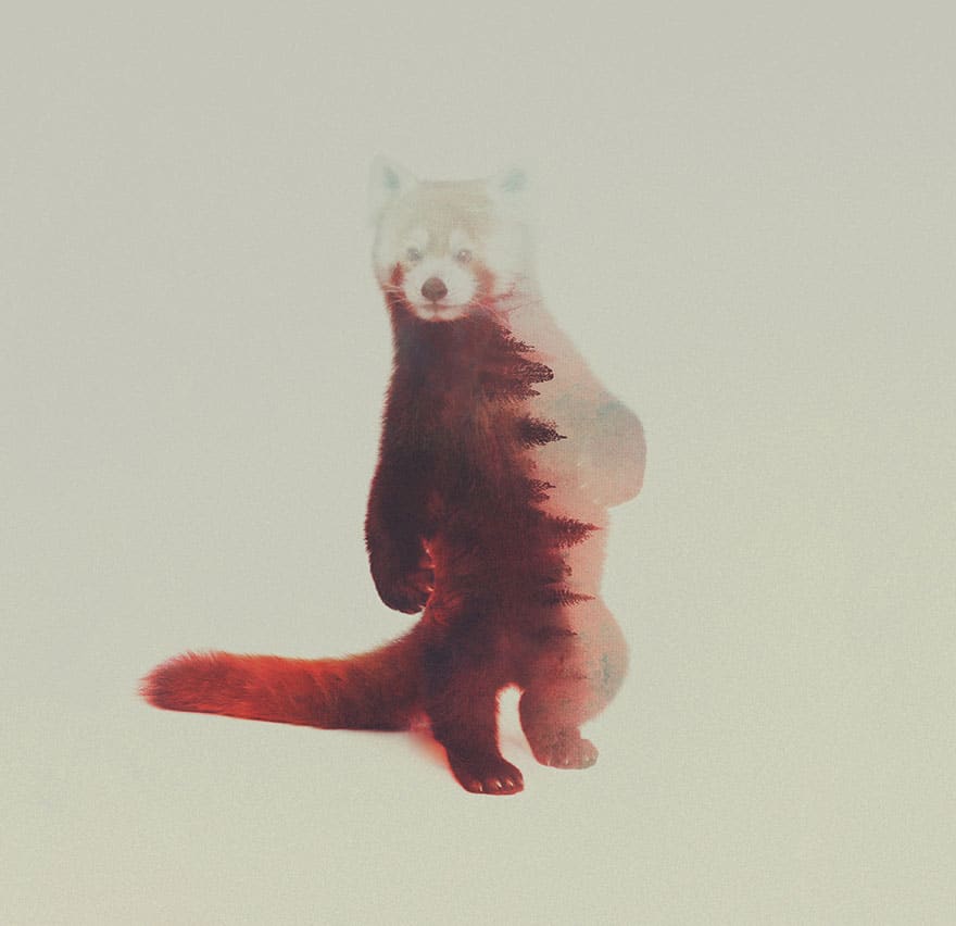 double-exposure-animal-photography-andreas-lie-16__880