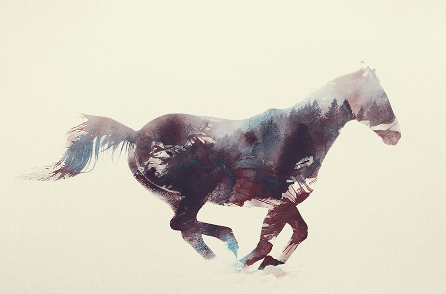 double-exposure-animal-photography-andreas-lie-18__880