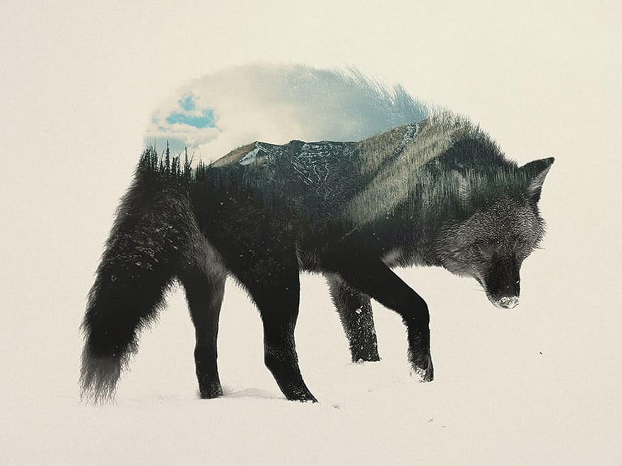 double-exposure-animal-photography-andreas-lie-1__880
