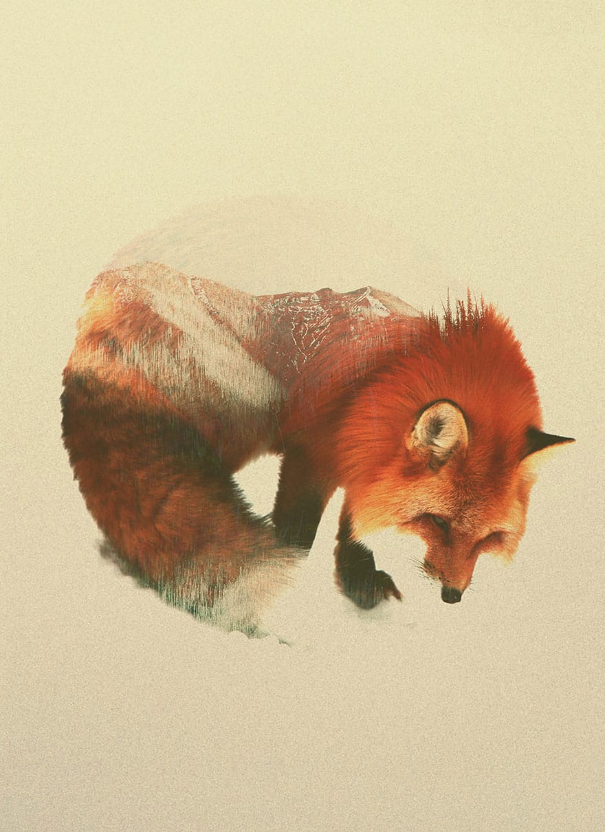 double-exposure-animal-photography-andreas-lie-3__880