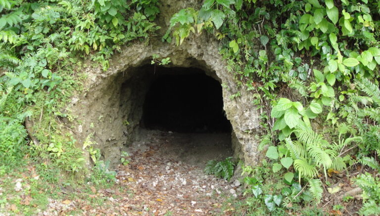 Βρήκε ένα κρυφό τούνελ στο βουνό. Πού οδηγούσε; Ένα συνταρακτικό μυστικό!